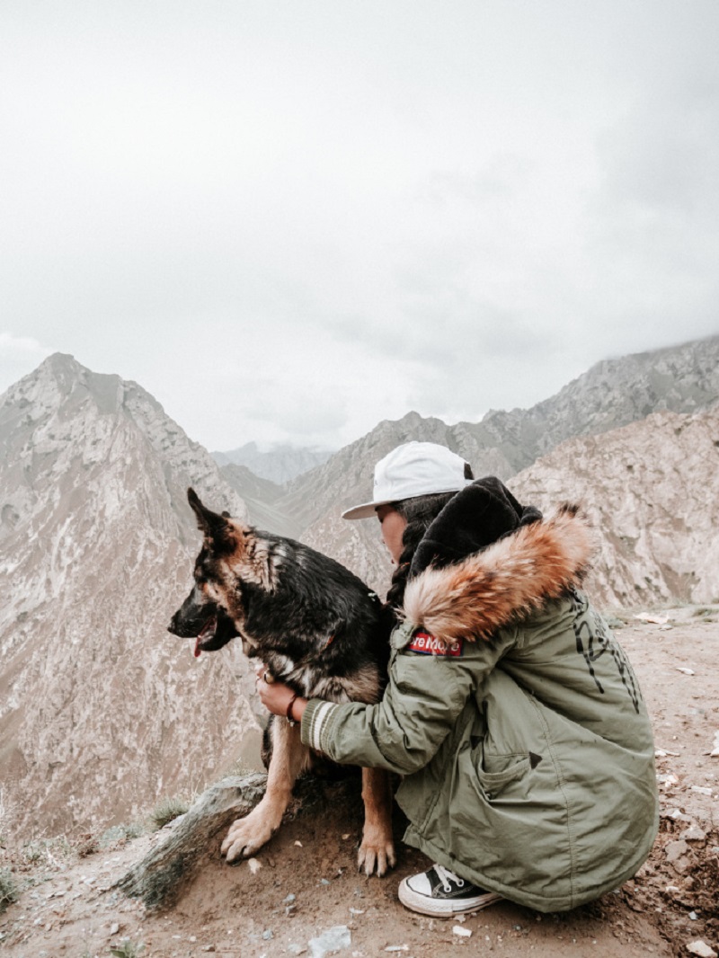 Pasangan ini keliling China pakai mobil angkot, ini 10 foto kerennya
