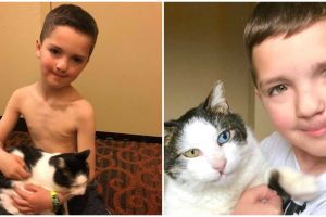 Memiliki warna mata sama, kisah bocah dan kucing ini menyentuh