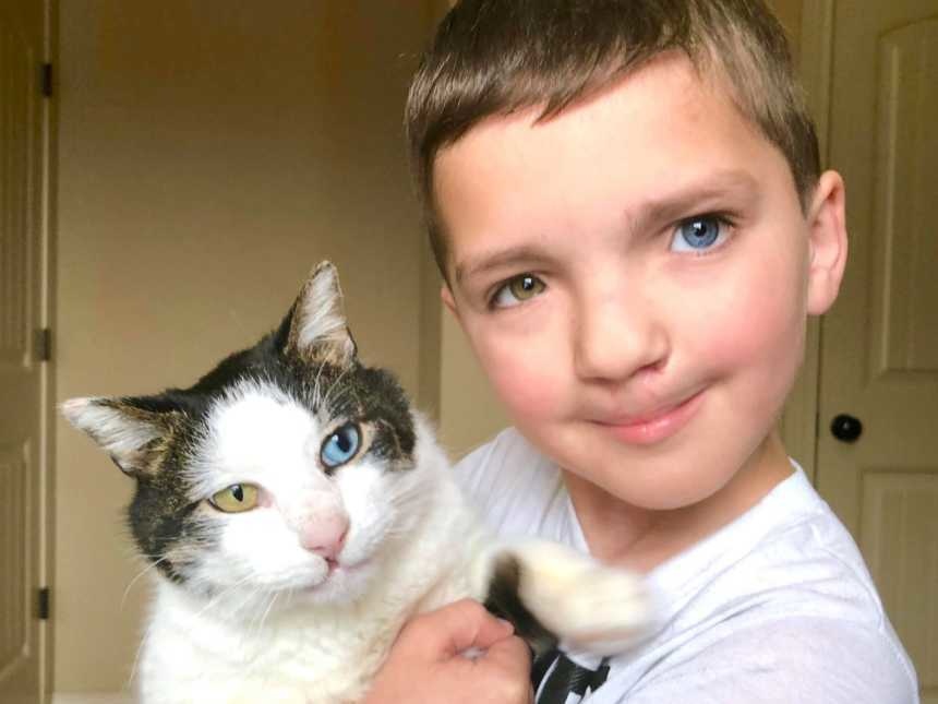 Memiliki warna mata sama, kisah bocah dan kucing ini menyentuh