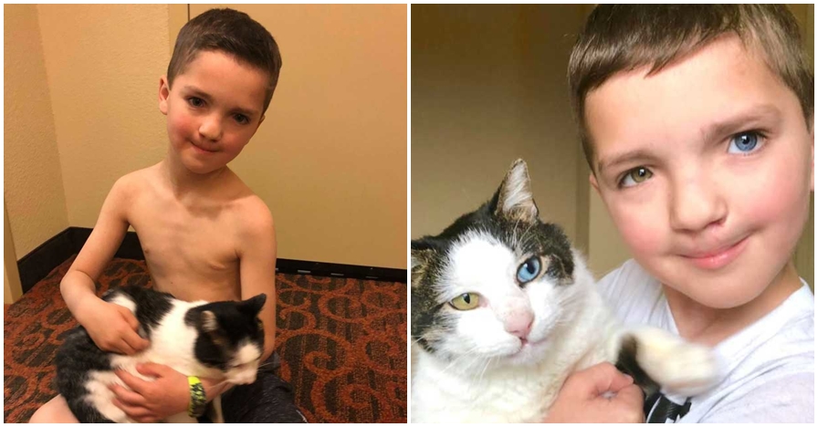 Memiliki warna mata sama, kisah bocah dan kucing ini menyentuh