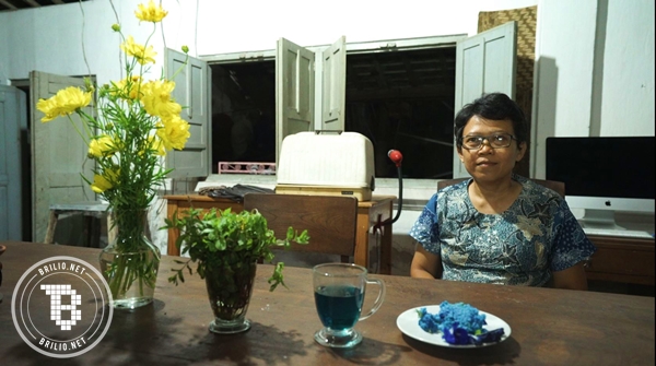 Siapa sangka, si biru liar dari masa kecilmu ini bisa jadi olahan unik