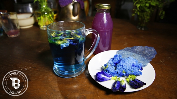 Siapa sangka, si biru liar dari masa kecilmu ini bisa jadi olahan unik