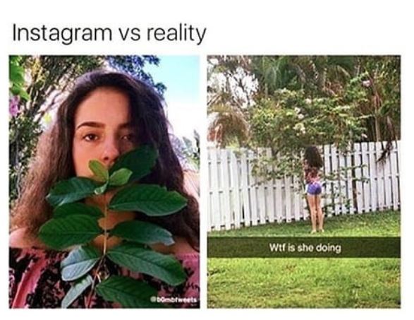 7 Meme beda kelakuan cewek di Instagram vs realita ini mak jleb banget