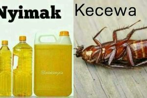 9 Pelesetan satu kata ini super singkat tapi kocak abis 