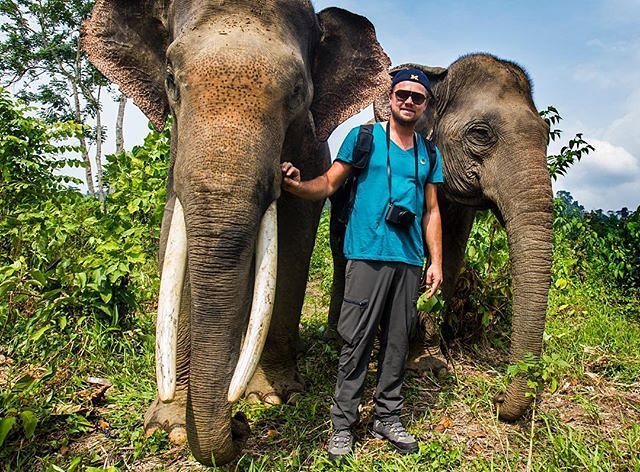 10 Beda Chicco Jerikho & Leo DiCaprio saat kampanye perlindungan gajah