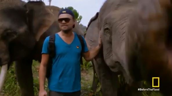 10 Beda Chicco Jerikho & Leo DiCaprio saat kampanye perlindungan gajah