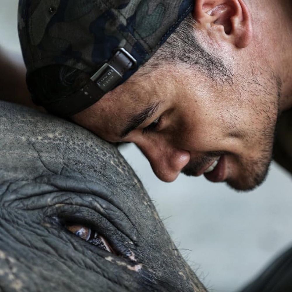 10 Beda Chicco Jerikho & Leo DiCaprio saat kampanye perlindungan gajah