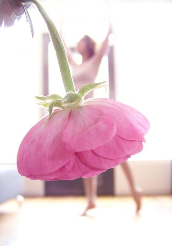 10 Foto ilusi perspektif gaun dari bunga ini hasilnya cantik abis