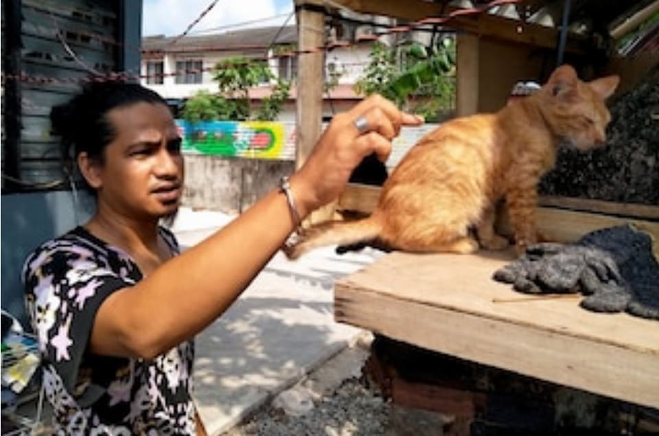 Kejam, 17 ekor kucing peliharaan pria ini mati diracun
