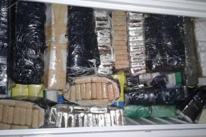 Pencuri di balik 540 kg ganja yang hilang ini bikin kamu syok 