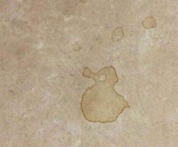 10 Bekas kopi ini tidak sengaja membentuk gambar unik, wow!