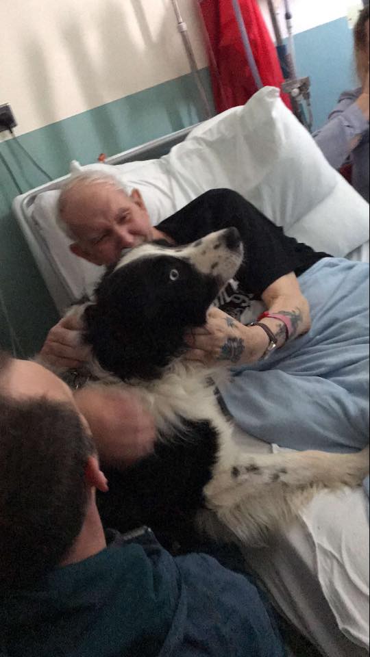 Divonis usianya tak lama lagi, ini 6 momen haru kakek bersua anjingnya