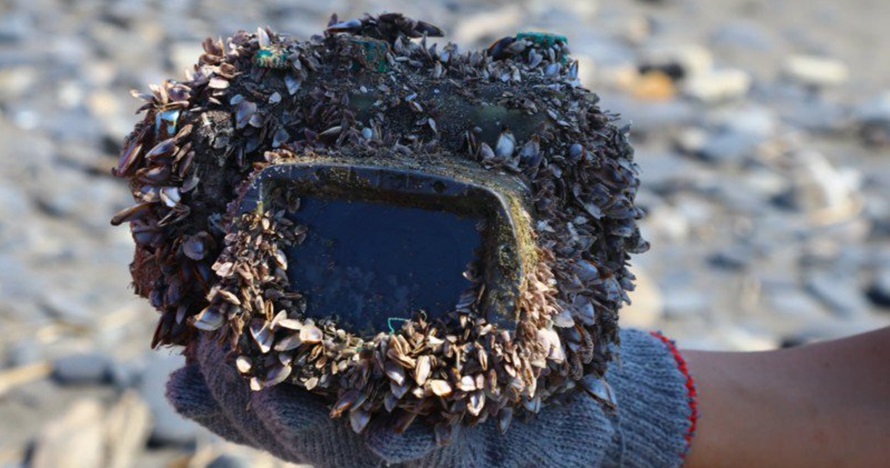 Kamera hilang 2 tahun di laut, dibuka isinya kisah wanita mengejutkan