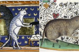 10 Potret kucing di lukisan abad pertengahan, bentuknya unik dan aneh