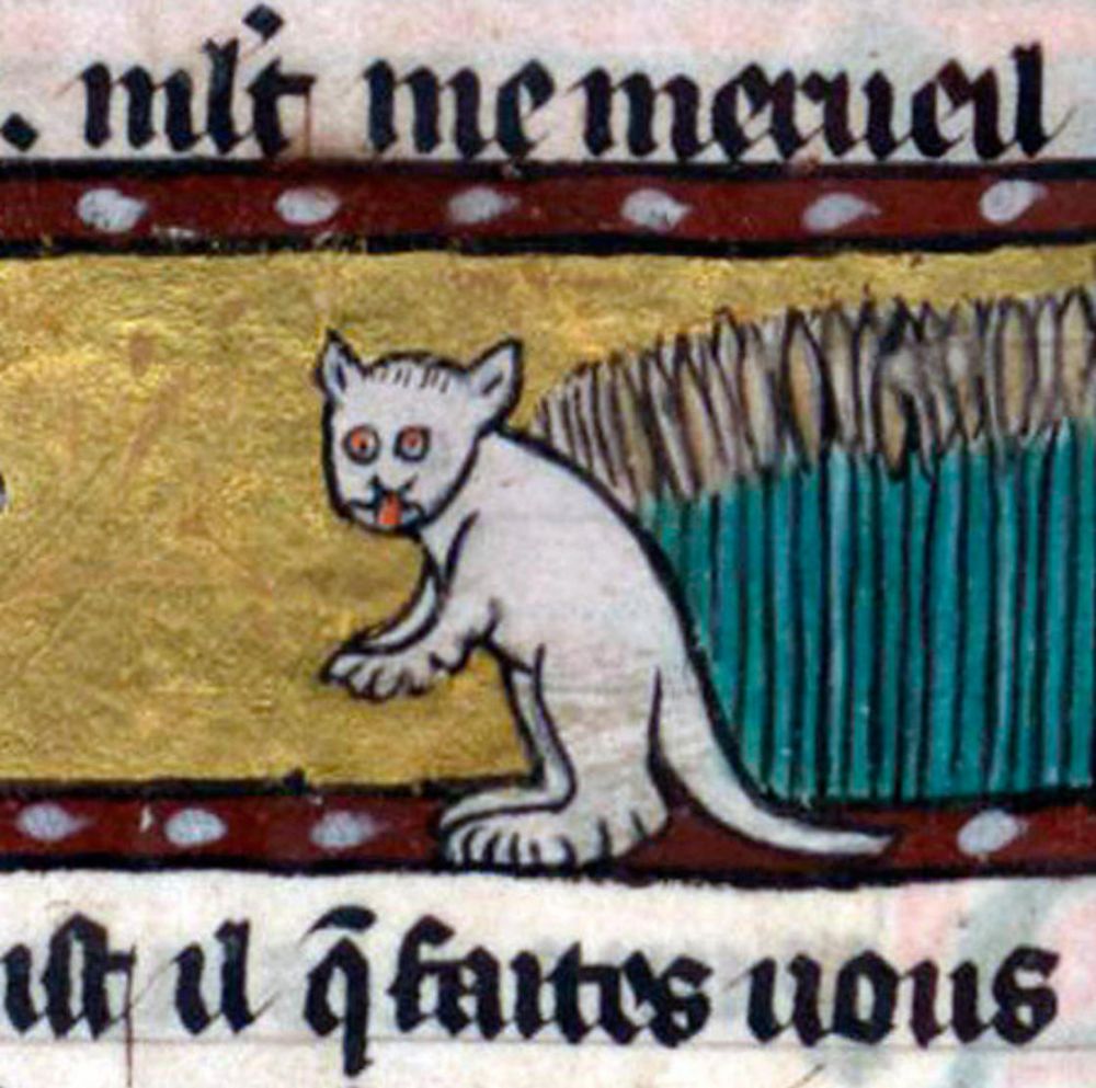 10 Potret kucing di lukisan abad pertengahan, bentuknya unik dan aneh