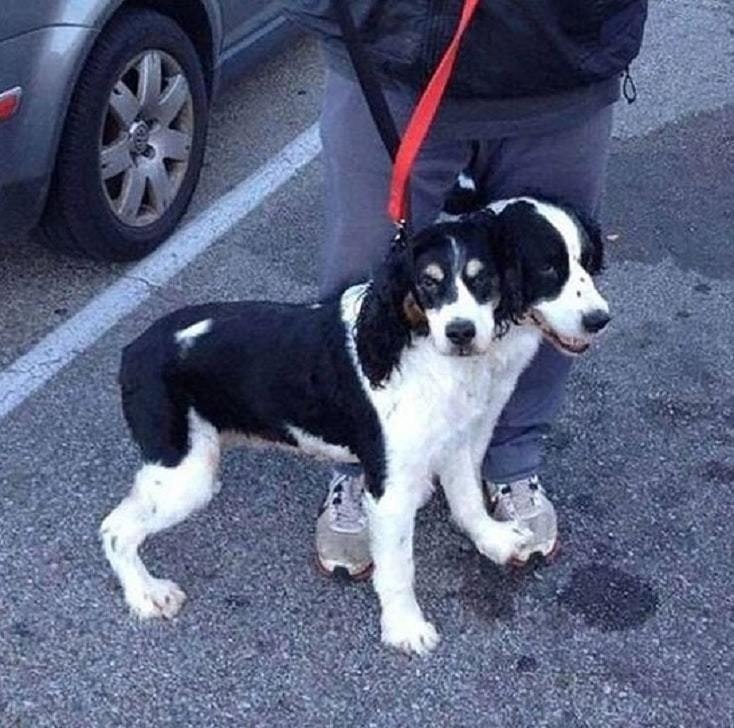 Nggak sengaja dijepret, 10 foto ini bikin kamu mikir ke mana-mana