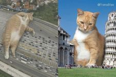 Terlihat seperti nyata, ini 10 foto editan saat kucing menguasai dunia