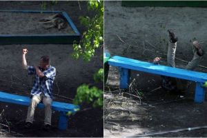 10 Tahun kegiatan di bangku taman ini dipotret, hasilnya mengejutkan