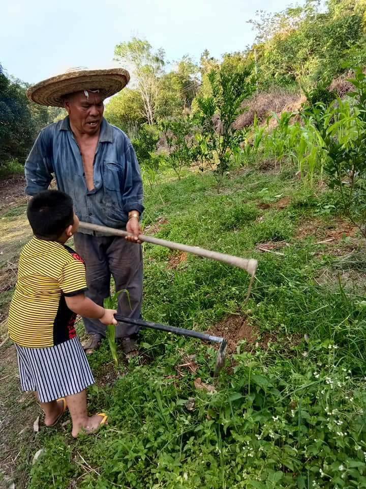 Kisah bocah 5 tahun bantu kerjaan kakeknya, dari nyuci sampai berkebun