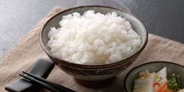 Ngetren di kalangan pelaku diet, ini fakta nasi shirataki