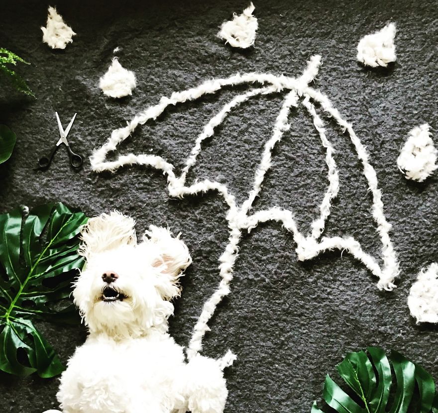 8 Karya dari hasil mencukur bulu anjing ini kreatif banget