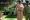 Penampakan sosok misterius di poster film Danur 2 ini bikin merinding
