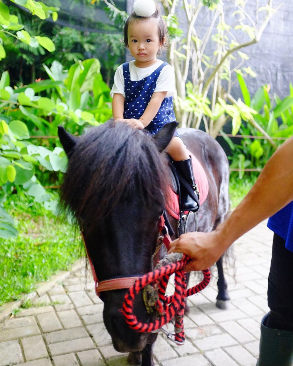 8 Gaya Thalia anak Ruben Onsu menunggangi kuda, bak orang dewasa