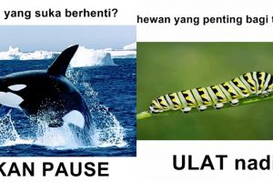 Lagi, 10 meme tebak-tebakan seputar hewan ini bikin kesel & emosi