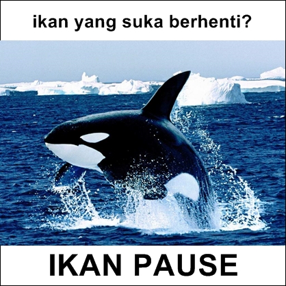 Lagi, 10 meme tebak-tebakan seputar hewan ini bikin kesel & emosi