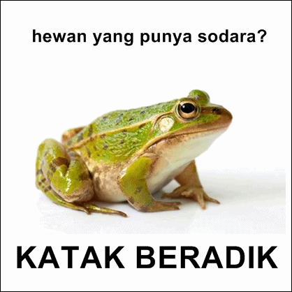 Lagi, 10 meme tebak-tebakan seputar hewan ini bikin kesel & emosi