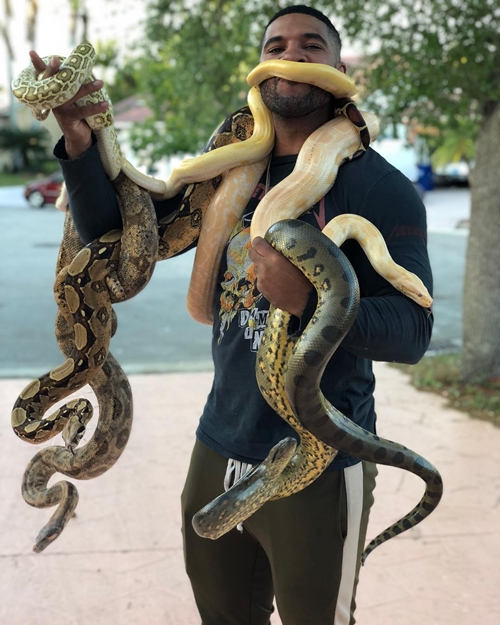 10 Potret Mike Holston bareng hewan liar, Tarzan di dunia nyata nih