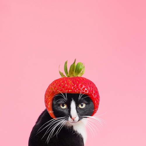 Bak model, 10 gaya Princess Cheeto pakai hiasan kepala ini gemas abis