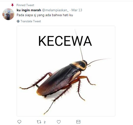 7 Nama akun Twitter ala lirik lagu ini bikin senyum-senyum sendiri