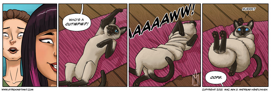 7 Komik strip ini gambarkan tingkah kocak kucing, ada-ada aja nih