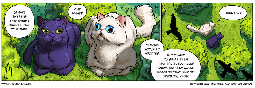 7 Komik strip ini gambarkan tingkah kocak kucing, ada-ada aja nih