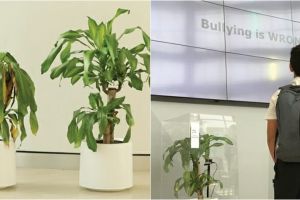 Eksperimen dampak tanaman saat dibully ini ungkap fakta mengejutkan