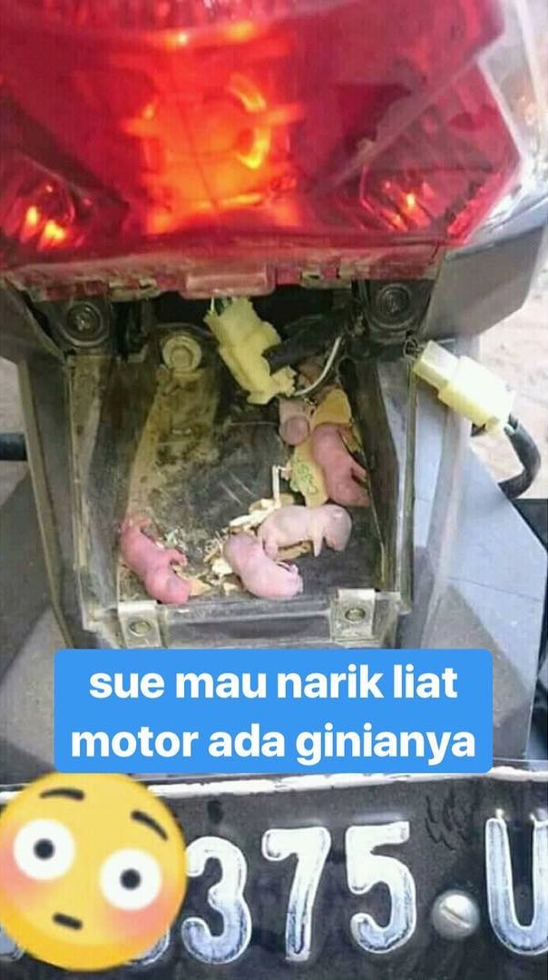 10 Postingan 'dilema driver ojek online' ini bikin cengar-cengir