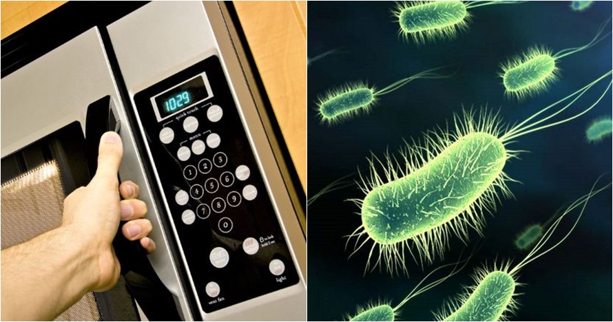 Ini 9 bagian dapur yang ternyata paling jorok, nggak nyangka