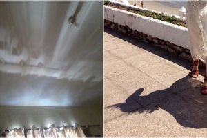 10 Bayangan benda sekitar ini nggak sengaja membentuk gambar indah