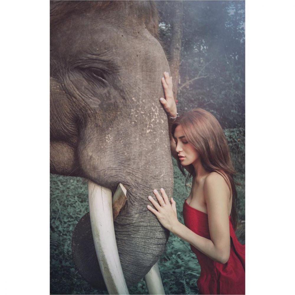 Gaya 5 seleb saat berpose dengan gajah, ekspresif banget