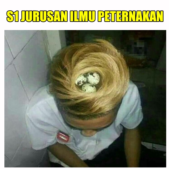 10 Meme kocak ilustrasi jurusan di kampus ini bikin lupa skripsi
