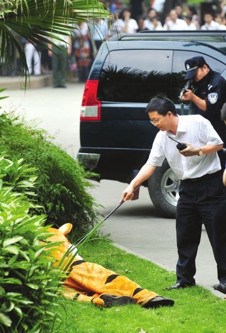 Simulasi penangkapan harimau ini bukannya serem malah konyol