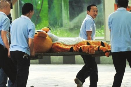 Simulasi penangkapan harimau ini bukannya serem malah konyol