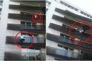 Aksi heroik 'Spiderman' dalam 30 detik selamatkan anak hampir jatuh