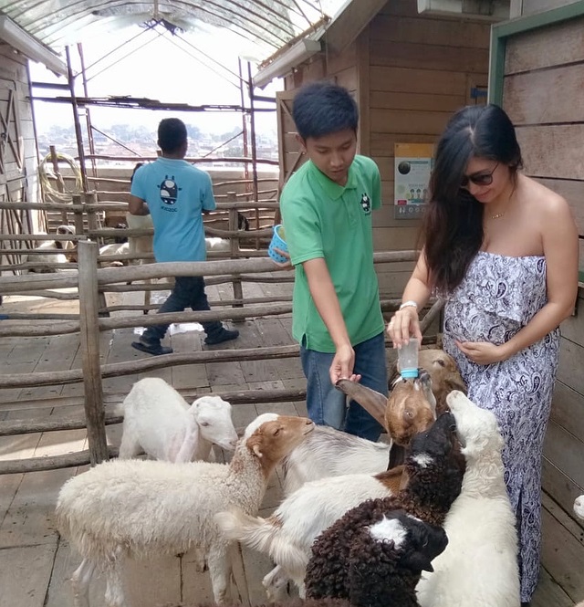 4 Momen seru Baby Margaretha beri susu anak kambing