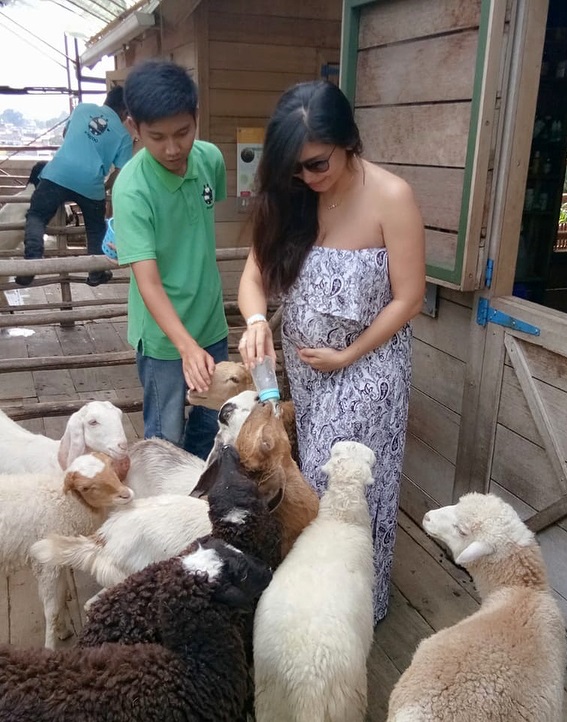 4 Momen seru Baby Margaretha beri susu anak kambing