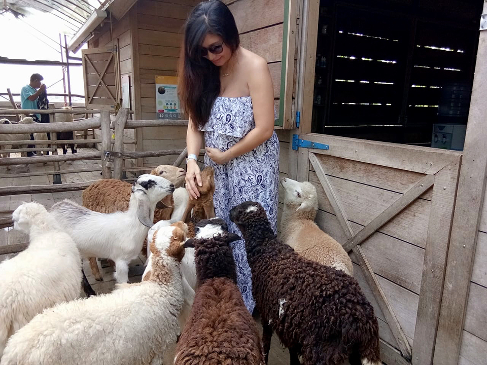 4 Momen seru Baby Margaretha beri susu anak kambing