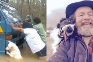 10 Momen manusia-hewan saat sedang susah dan senang ini bikin salut