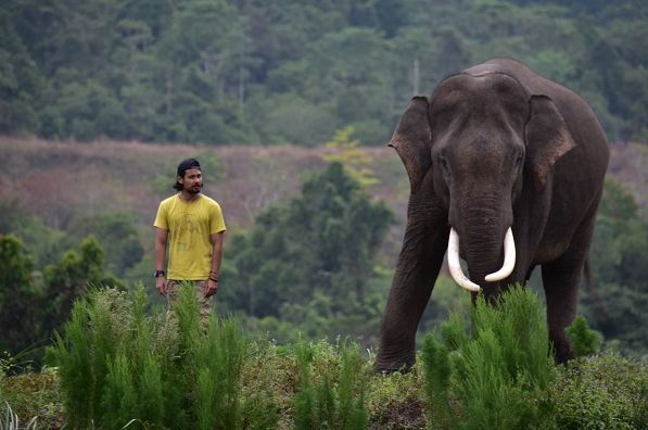 5 Seleb ini jadi aktivis lingkungan, salut!
