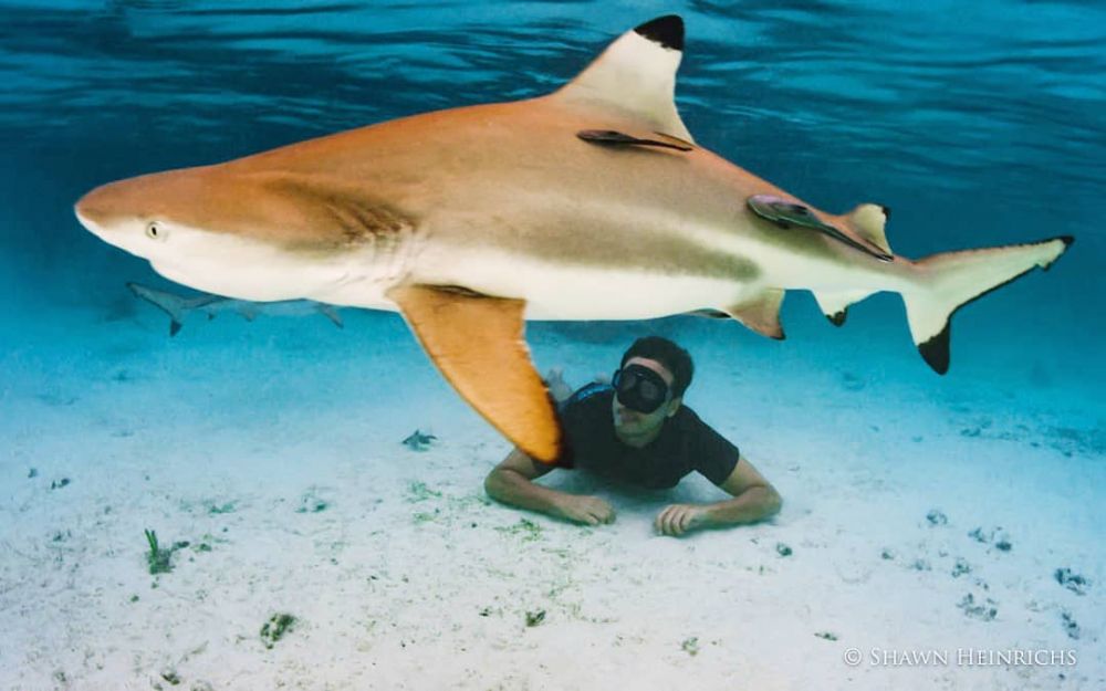 5 Seleb ini jadi aktivis lingkungan, salut!